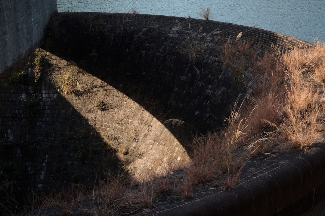 Water Infrastructure Under Siege (image credits: unsplash)