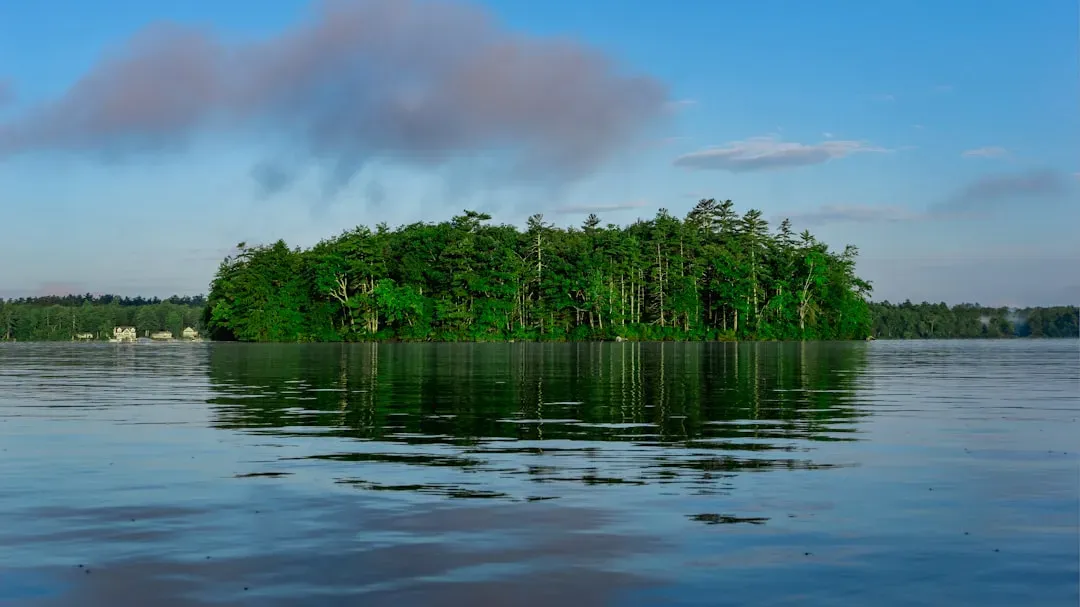 New Hampshire (Image Credits: Unsplash)