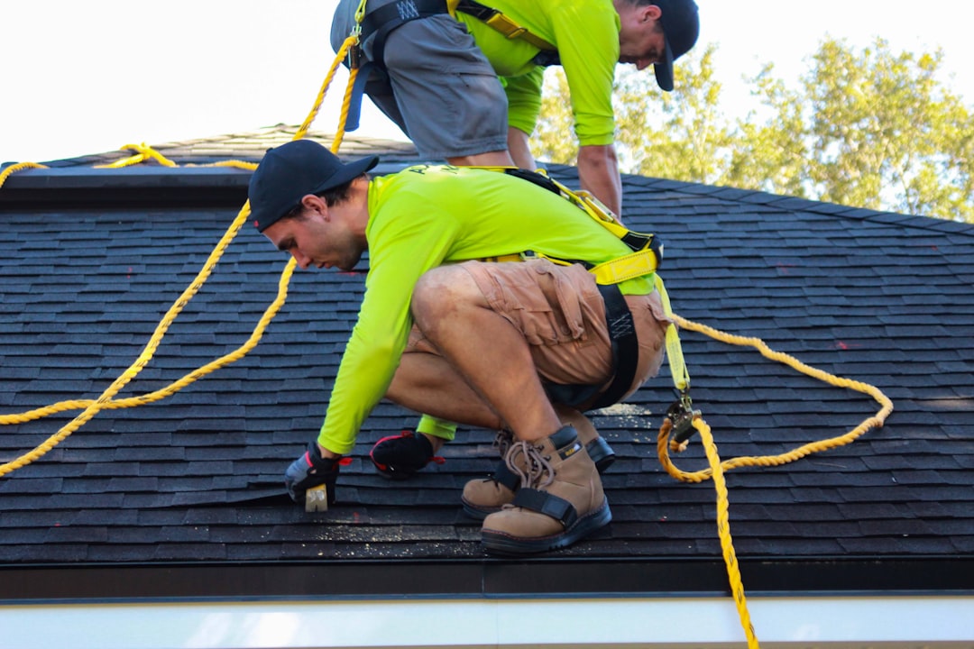 Florida's Solar Surge Defies Expectations (image credits: unsplash)