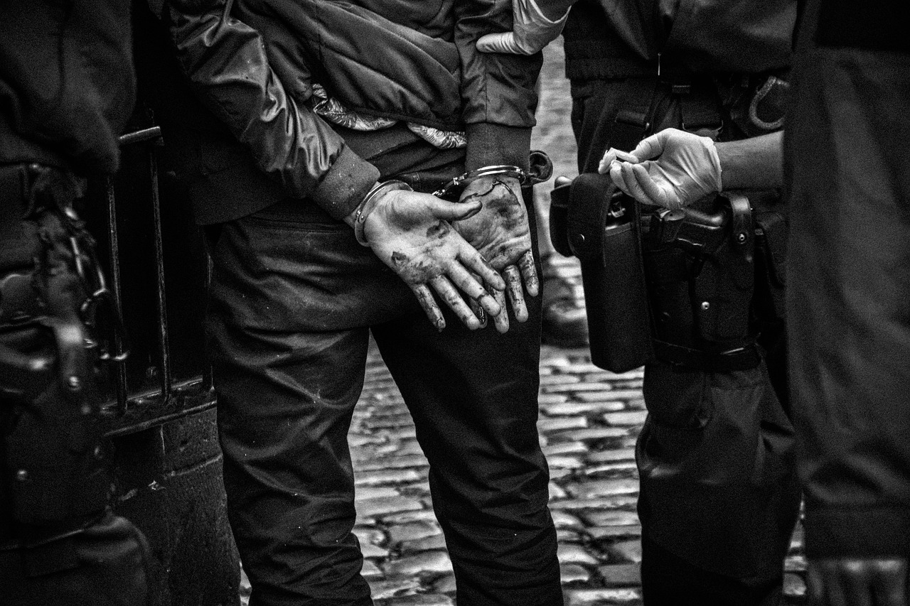 Massive Arrest Numbers Reveal Operation Scale (image credits: pixabay)