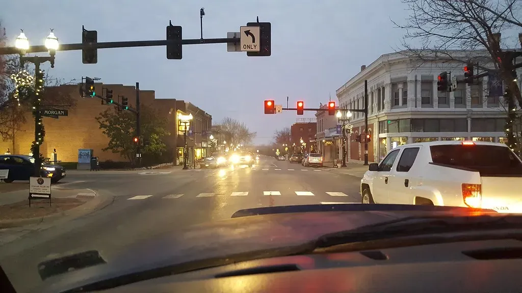 Migration Numbers Tell a Dramatic Story (Image Credits: Flickr)