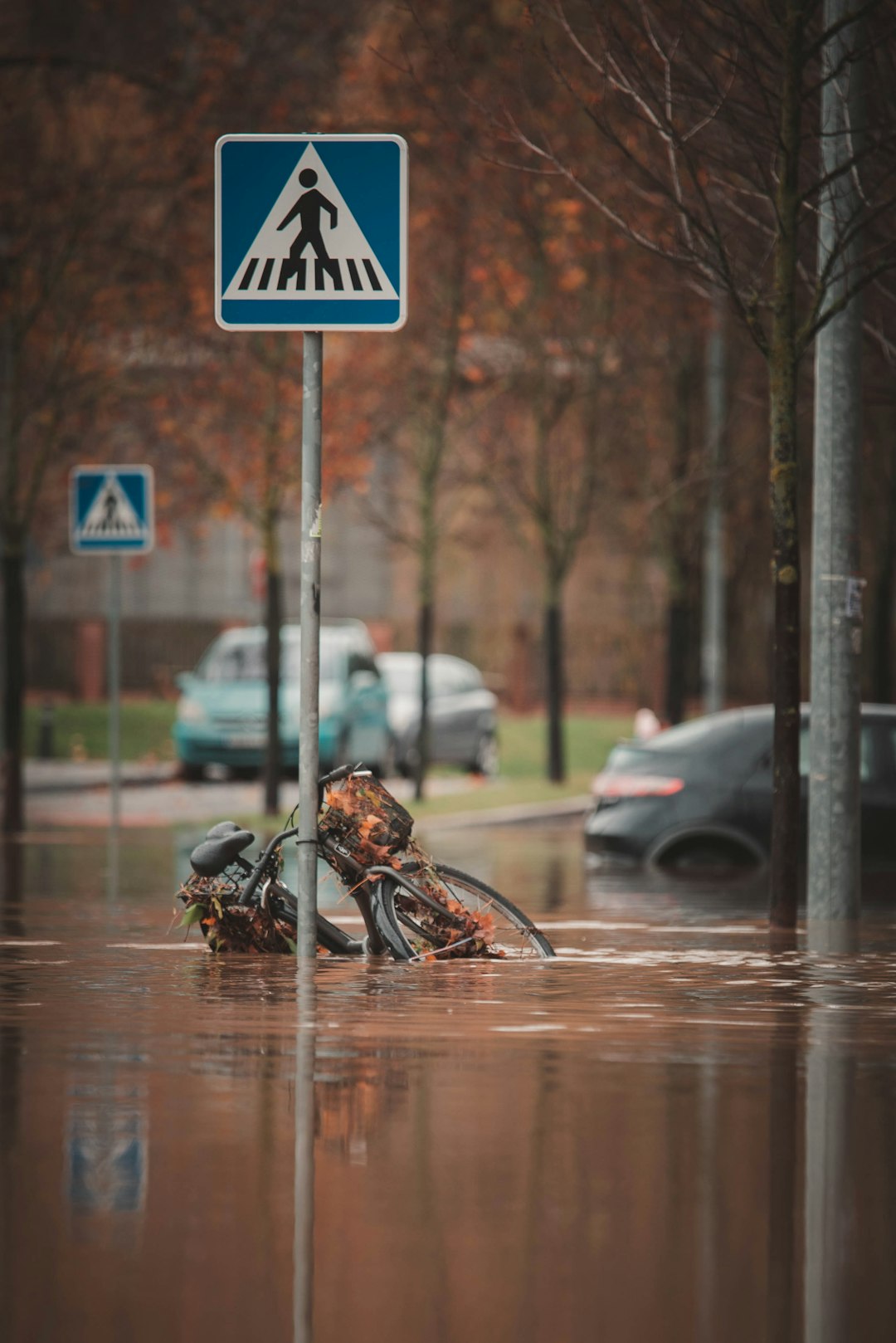 Climate Change Intensifies the Divide (image credits: unsplash)