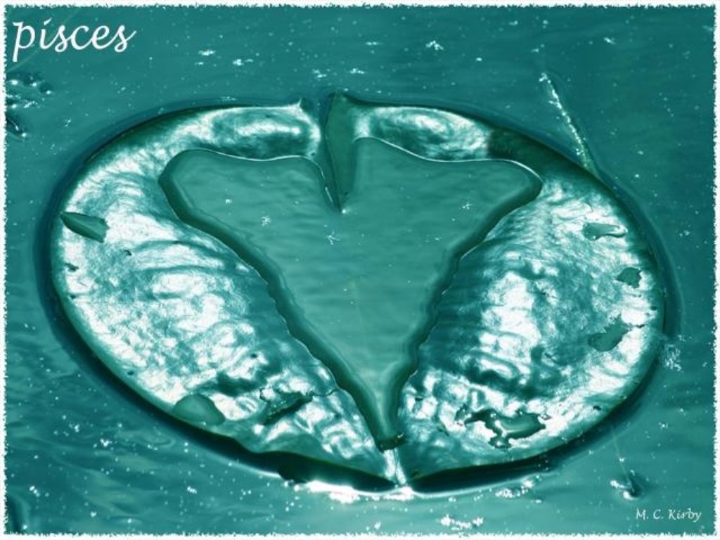 Pisces: Swimming Through Emotional Depths to Find Clarity (Image Credits: Flickr)