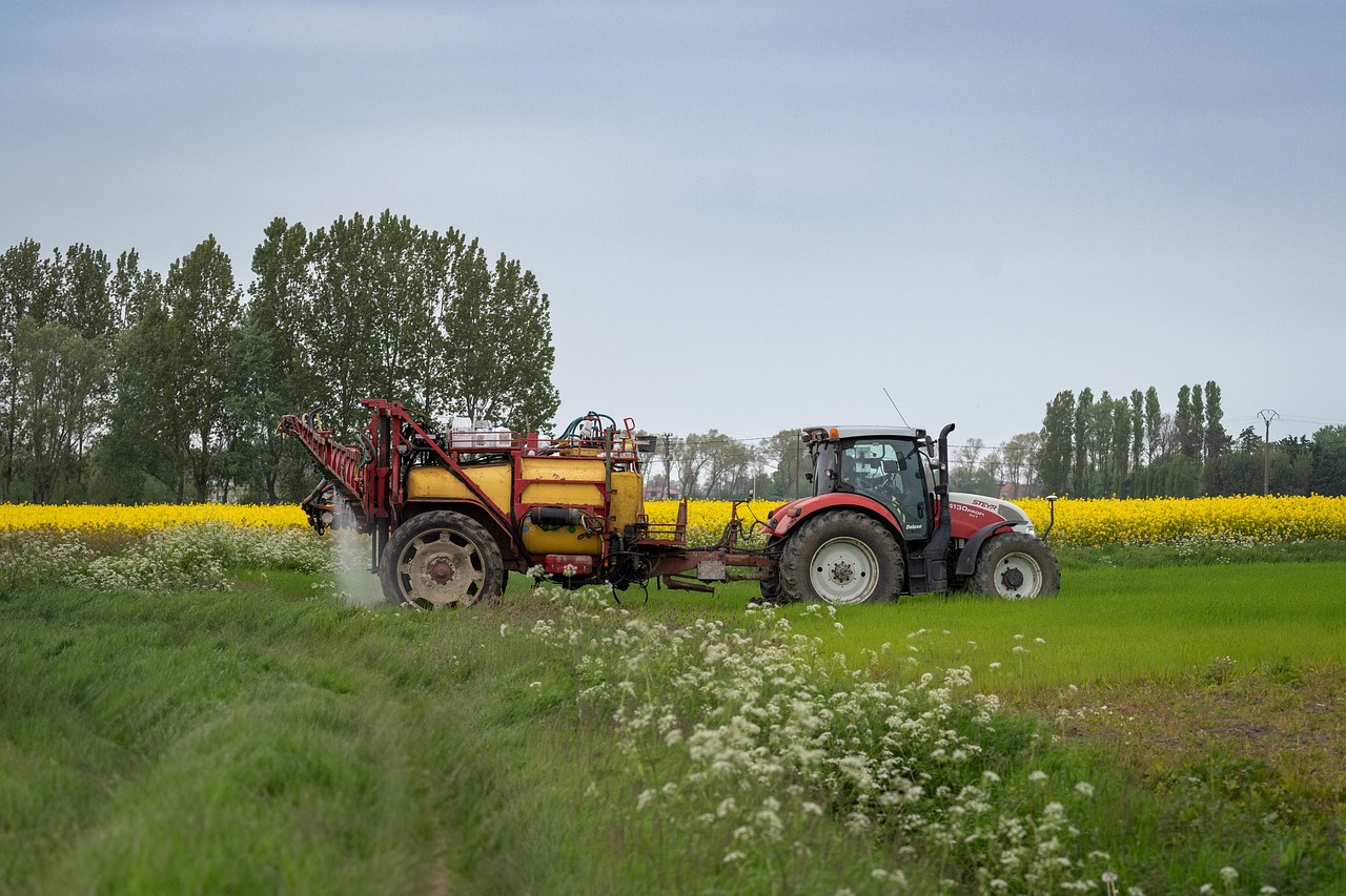 Agricultural Heritage Festivals Connect Communities to Land-Based Traditions (image credits: pixabay)