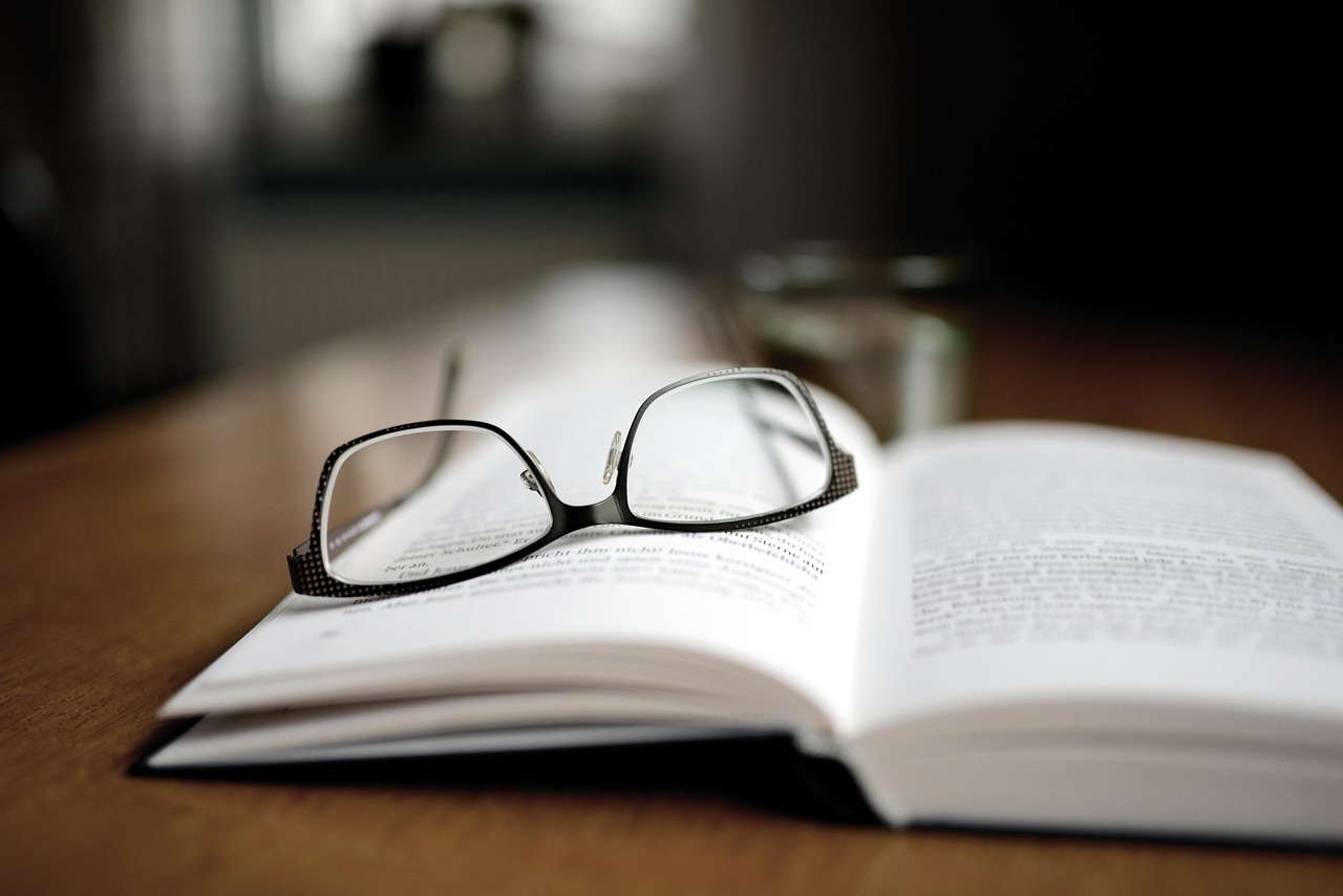 Conclusion: The Path Forward (image credits: pixabay)