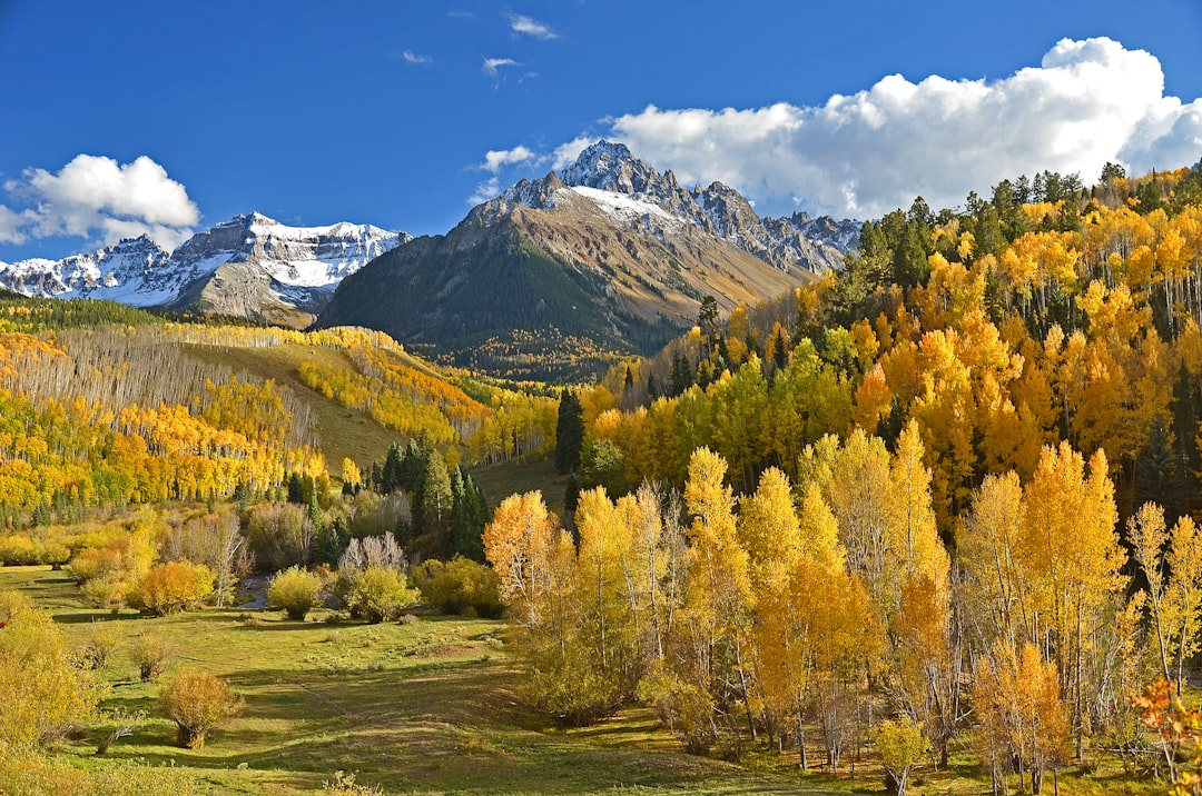 Colorado's Refined Athleisure (image credits: unsplash)