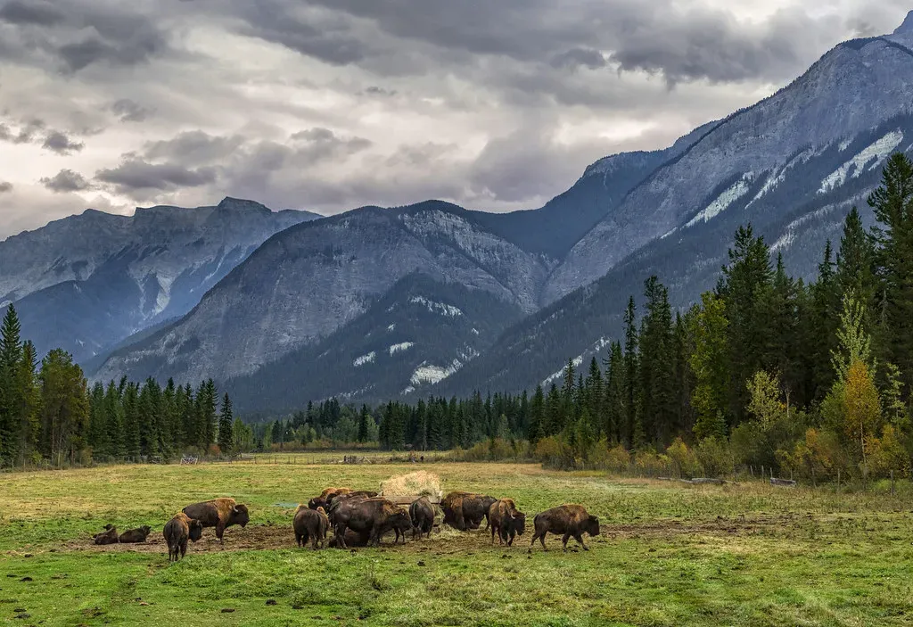 The Split Estate: A Legacy From the American West (Image Credits: Flickr)