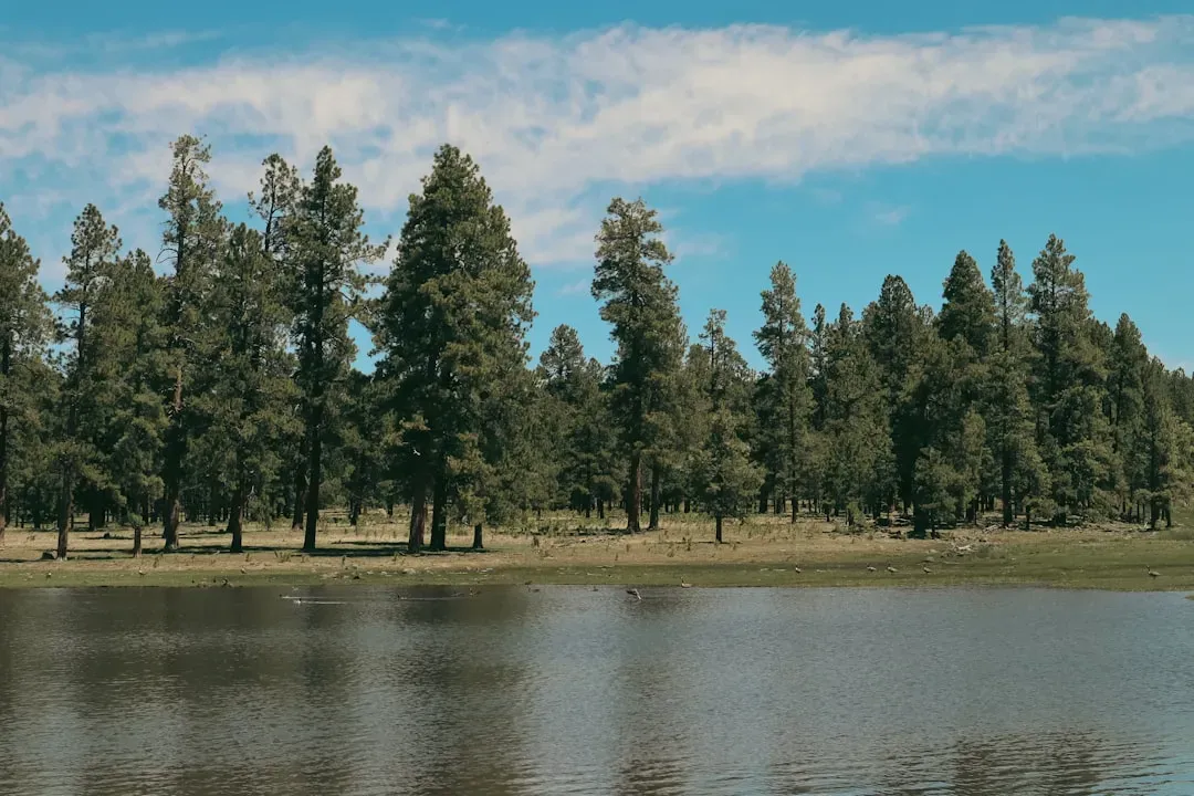 Natural Beauty Minus the Crowds (Image Credits: Unsplash)