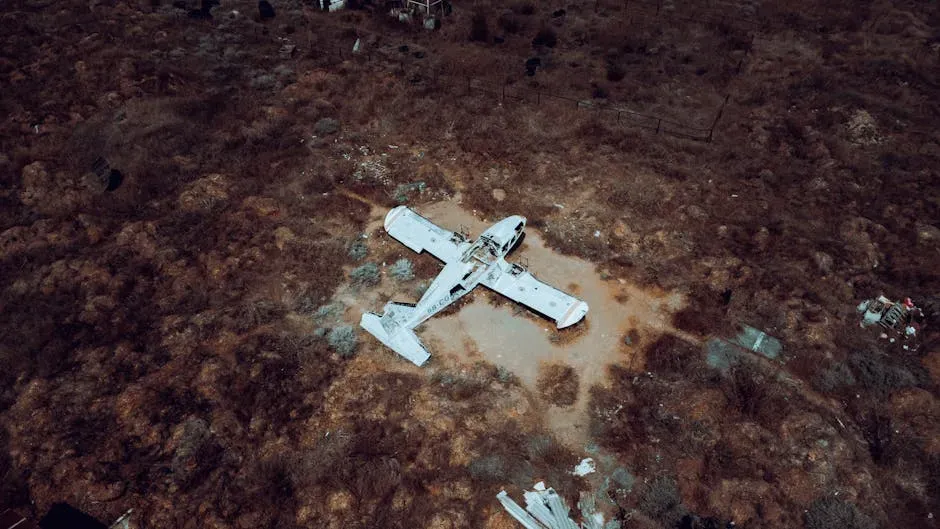 Empty Shells, Full Secrets (Image Credits: Pexels)