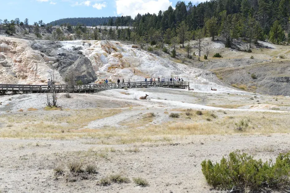 Tourism Tsunami Fuels the Flip (Image Credits: Pexels)