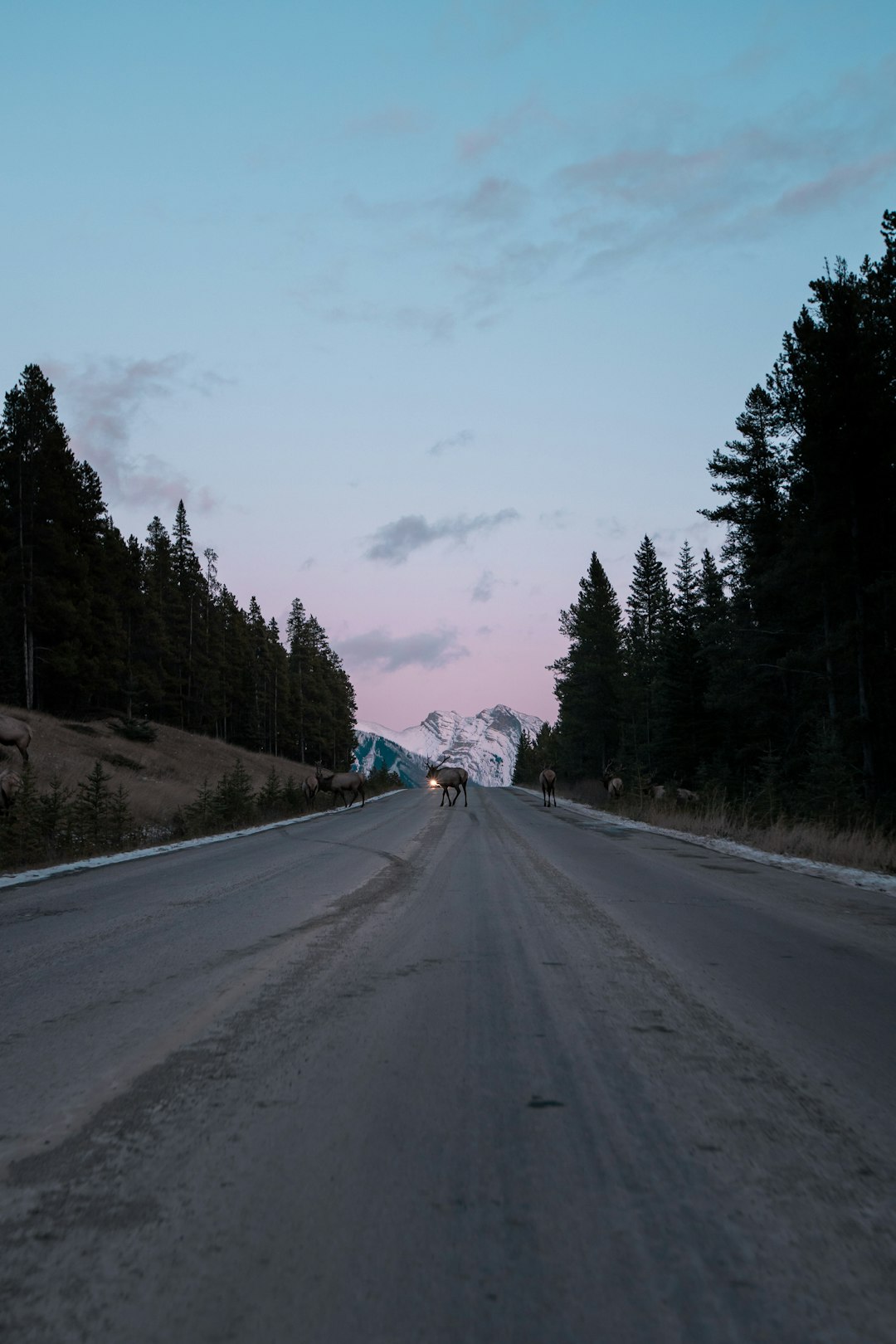 The Fecal Matter Highway Ban That Actually Exists (image credits: unsplash)