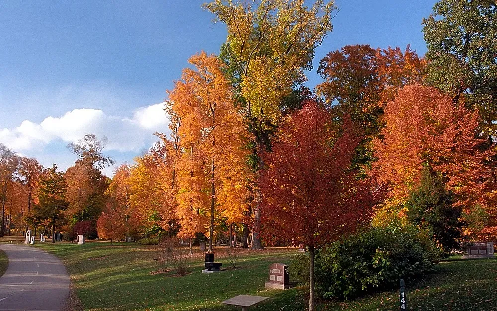 Eureka Springs, Arkansas (Image Credits: Flickr)