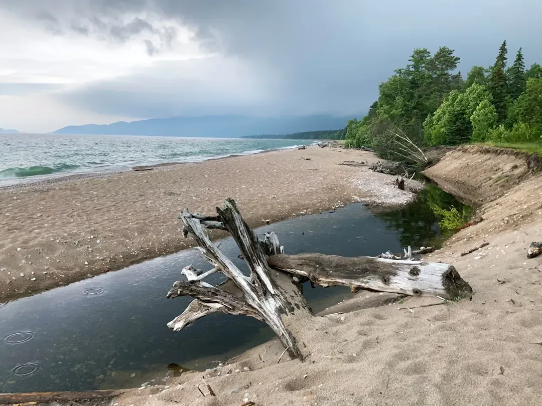 Michigan and the Great Lakes: Ground Zero for Microplastic Contamination (Image Credits: Unsplash)