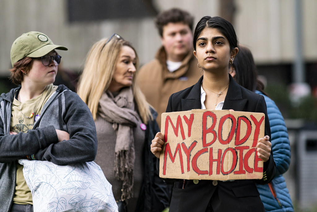 Ohio's Constitutional Amendment Becomes Model for Reproductive Freedom (image credits: flickr)