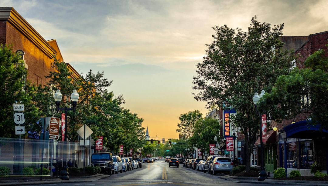The Decline and Fall of Franklin (image credits: unsplash)