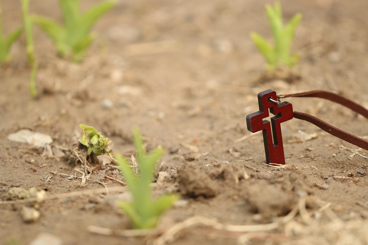 Recovering Jesus's Revolutionary Vision (image credits: pixabay)
