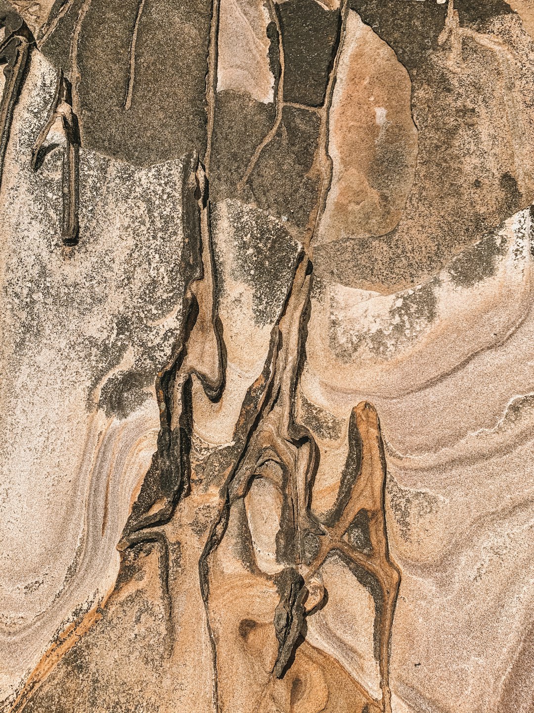Living Fossil Museum Standing in the Prairie (image credits: unsplash)