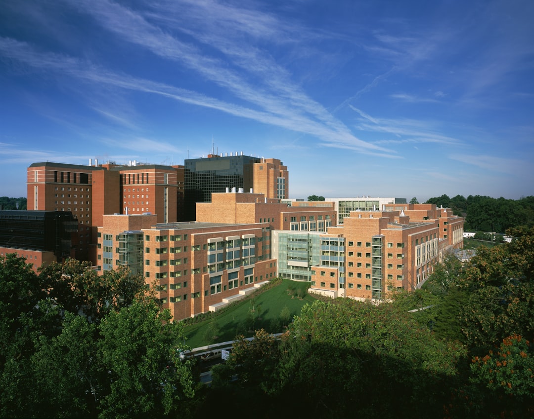 Massachusetts – The Education and Healthcare Pioneer (image credits: unsplash)
