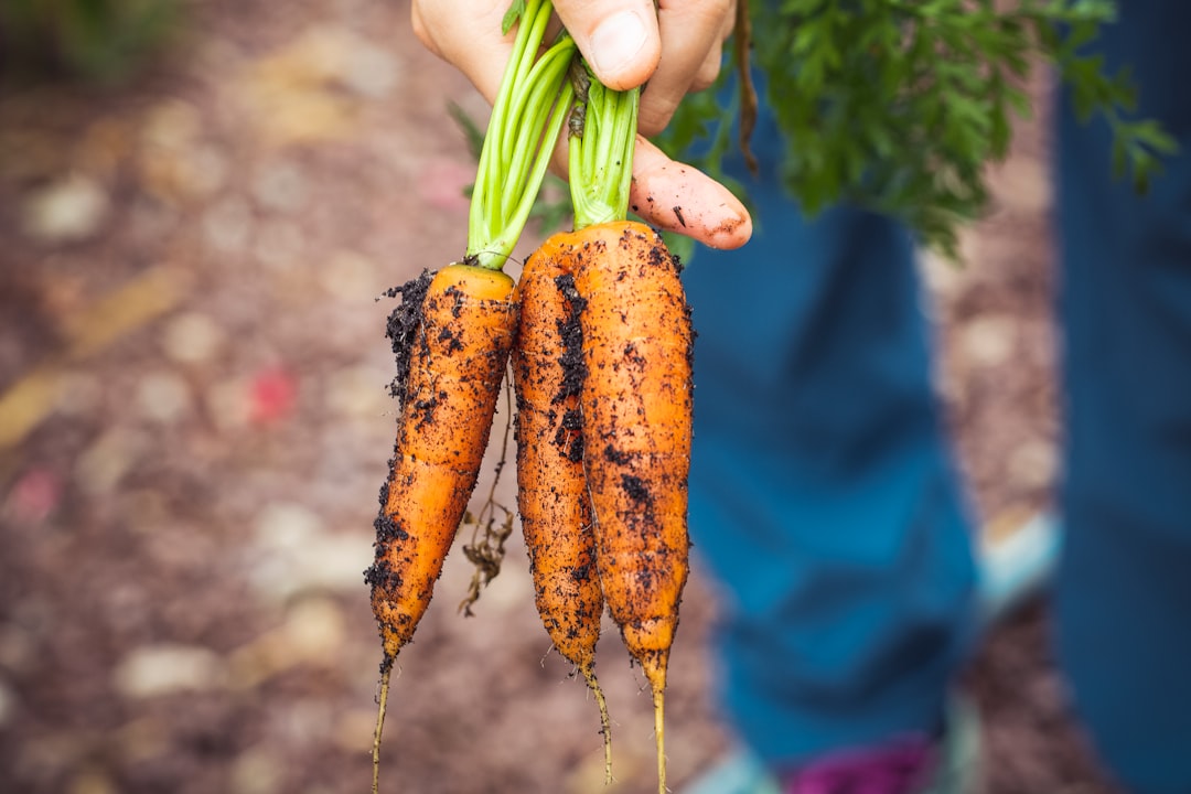 Environmental Advantages of Plant-Based Eating (image credits: unsplash)