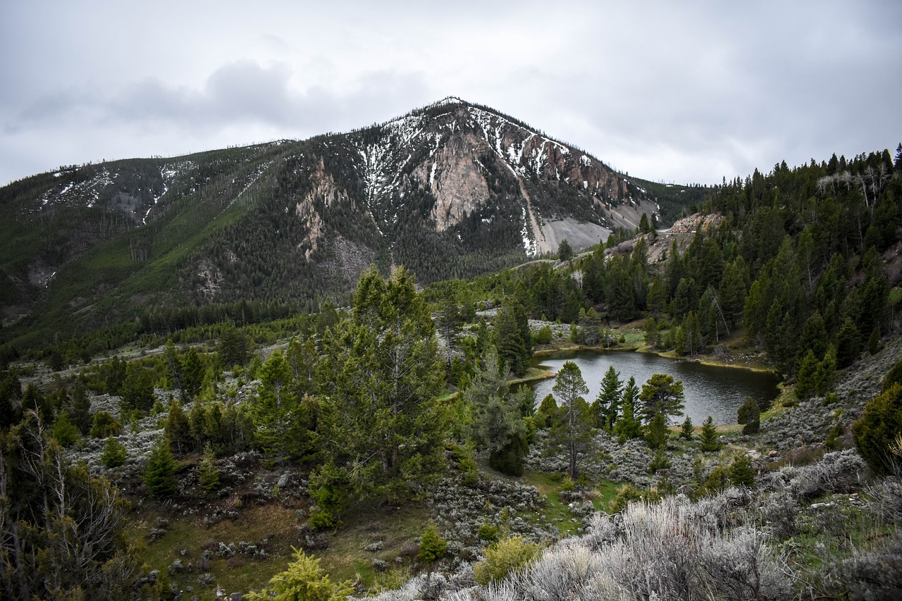 Weathering Wyoming’s Climate