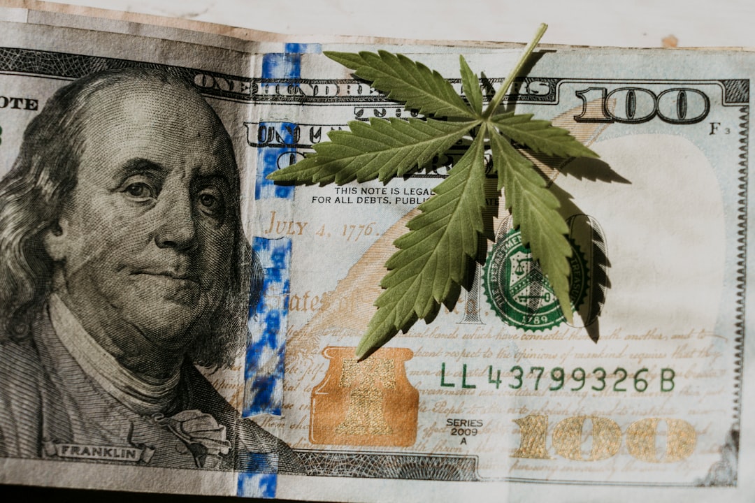 Cannabis Legalization Creates New Border Economies (image credits: unsplash)