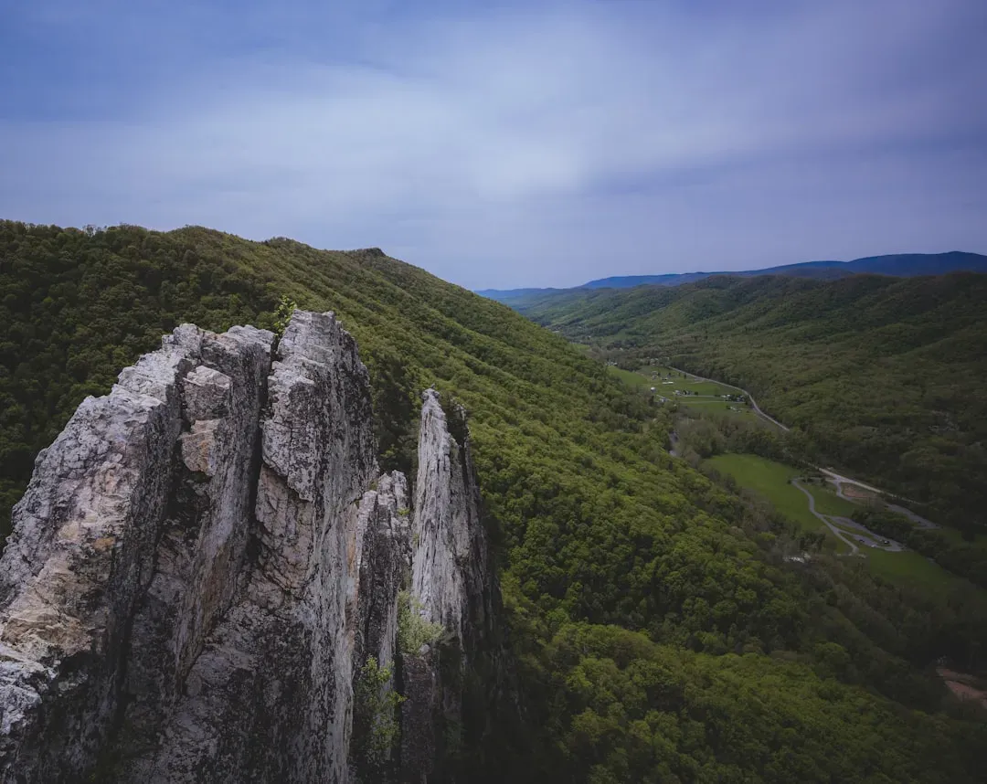 West Virginia's Ascend WV Program (Image Credits: Unsplash)