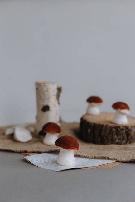 Economic Viability: Is Mushroom Fabric Cost-Effective? (image credits: pexels)