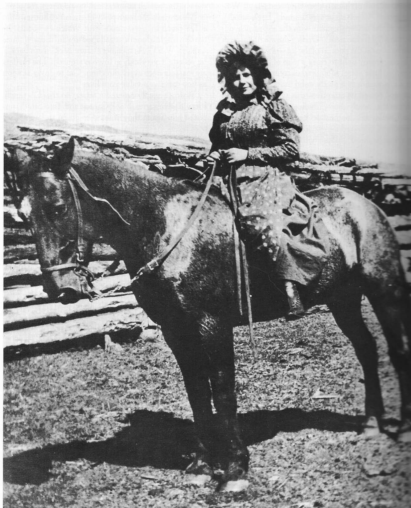 The Johnson County War - Wyoming's Invasion (image credits: wikimedia)