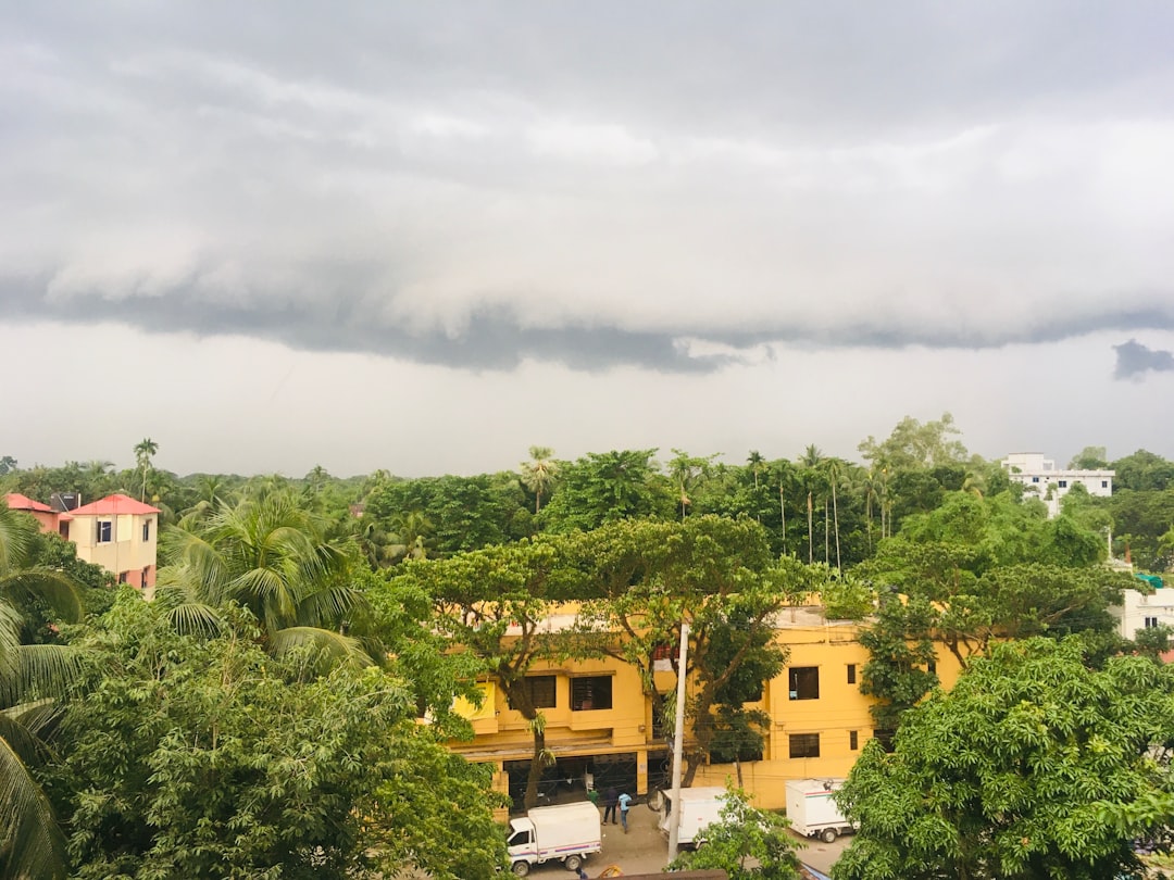Northern India: Monsoon Chaos Breeds Dangerous Storms (image credits: unsplash)