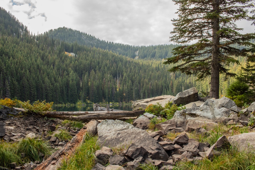 Idaho Might Be a Complete Fabrication (image credits: unsplash)