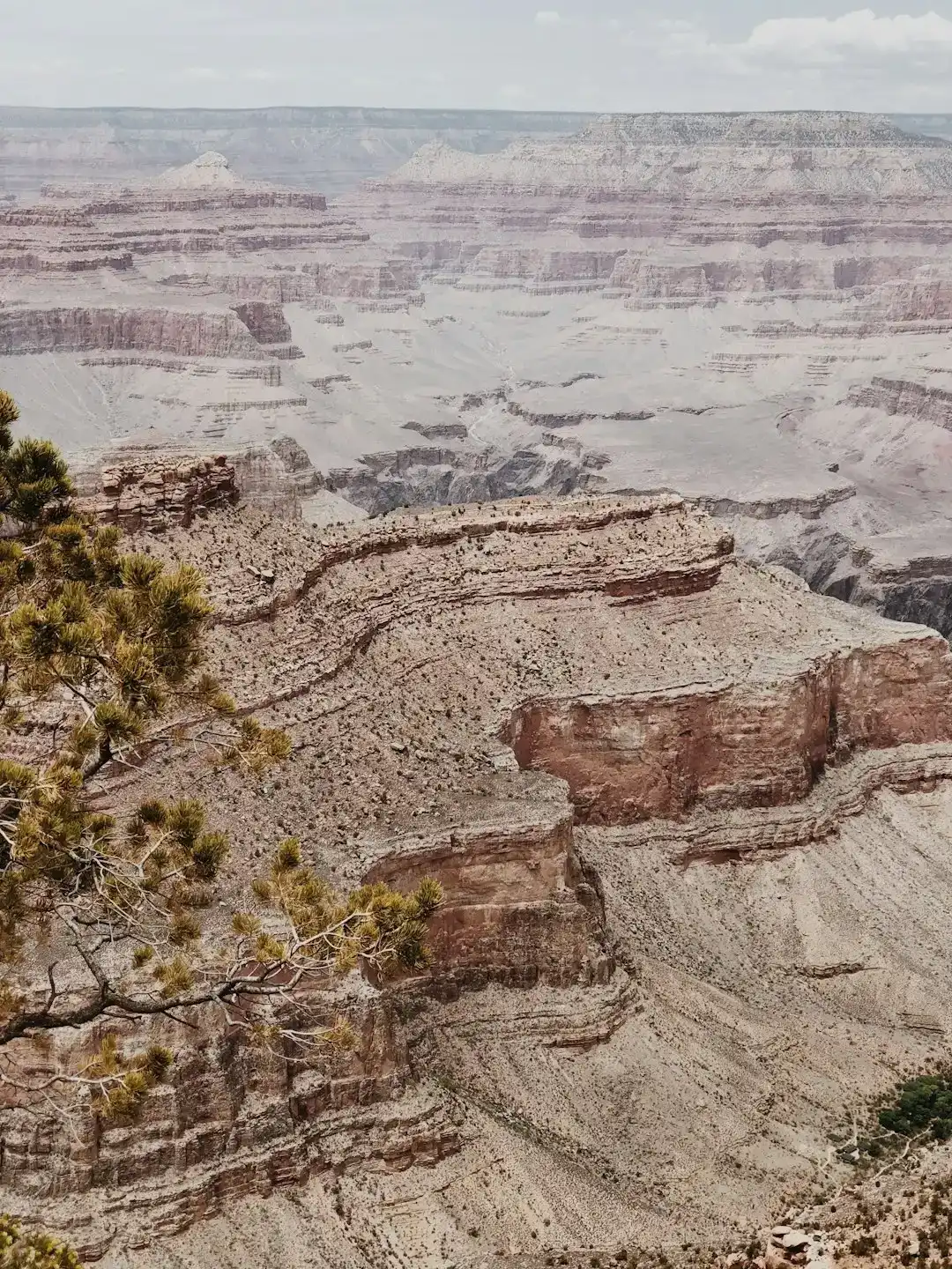 The Grand Canyon's North Rim: A Whole Different World (Image Credits: Unsplash)