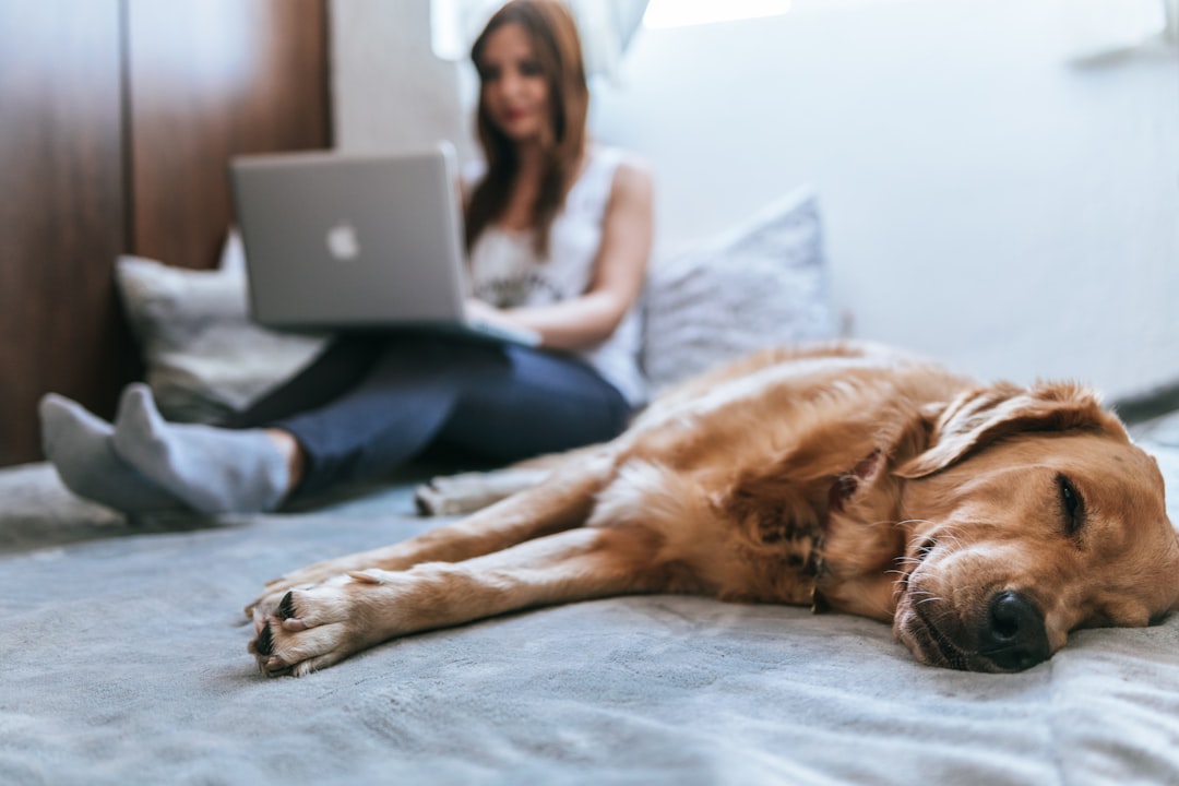 Pet Insurance Adoption and Medical Advances (image credits: unsplash)