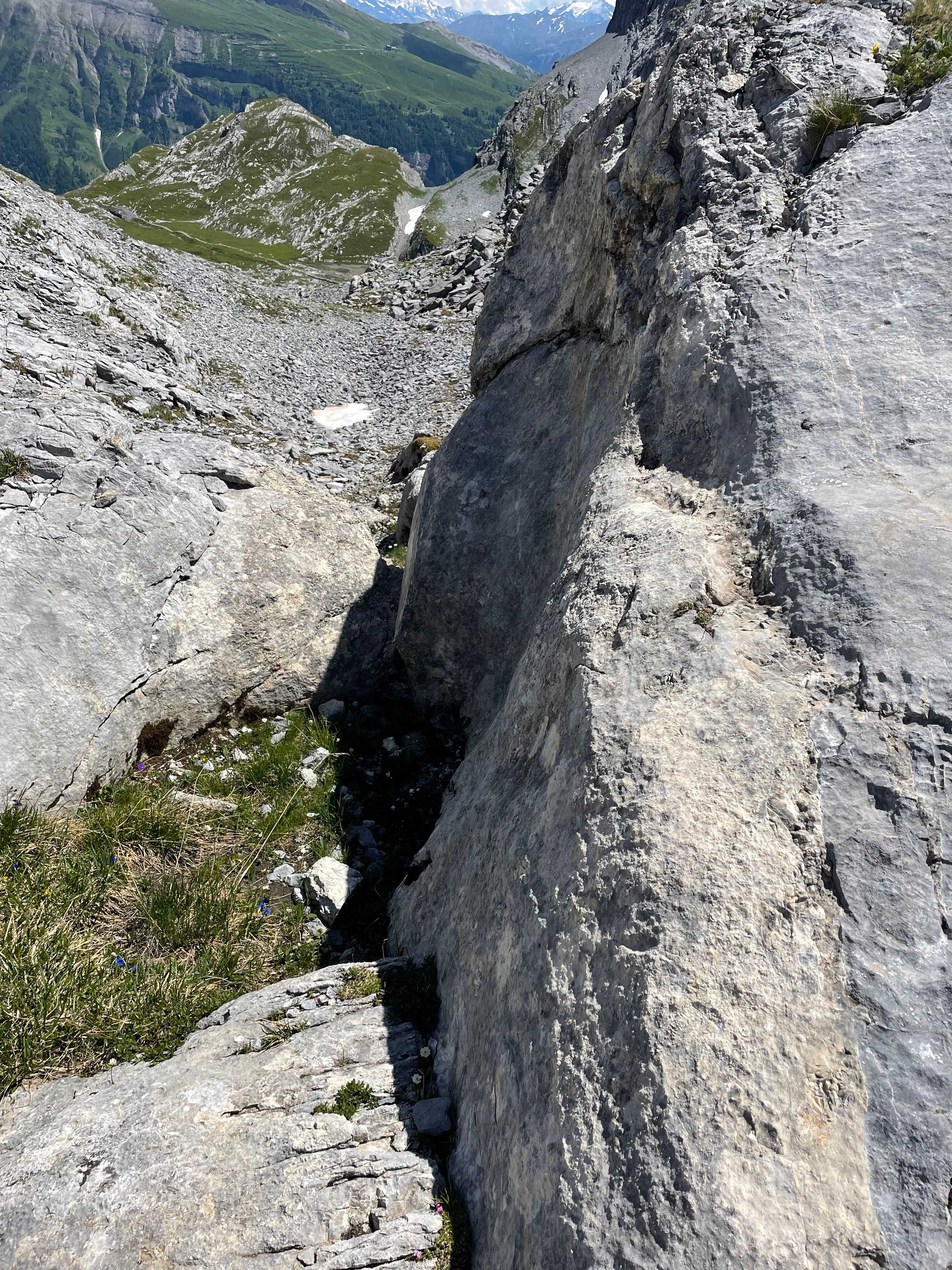 The Science Behind Fault Lines