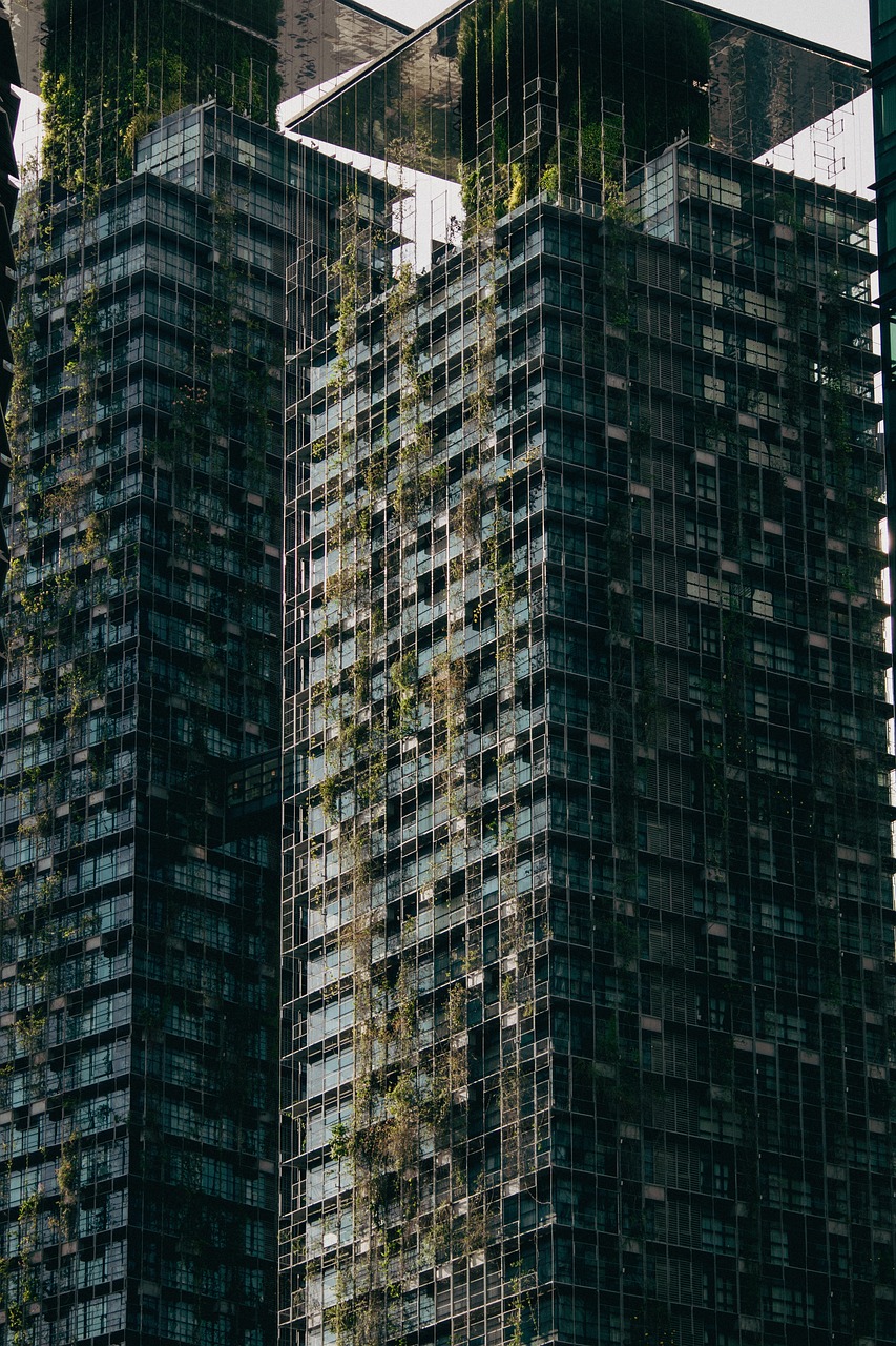 Looking Ahead: What Comes Next for California (image credits: pixabay)