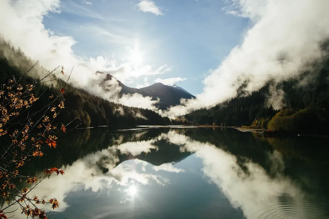 Year-Round Accessibility and Variety (Image Credits: Unsplash)