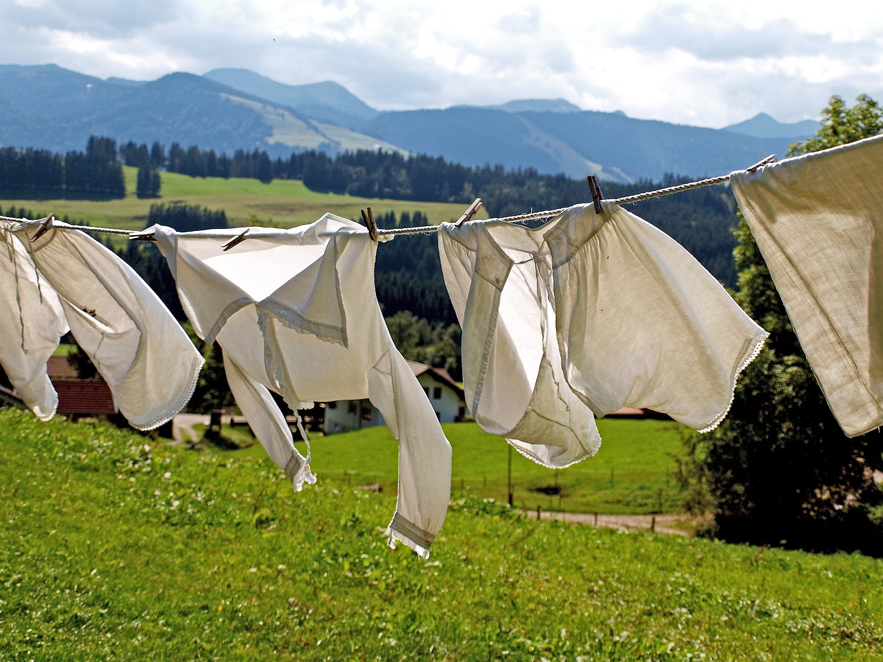 The Science of Drying: Why It Matters (image credits: pixabay)