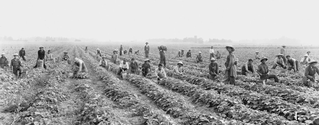 German Immigrants Establish Agricultural Innovation (image credits: unsplash)