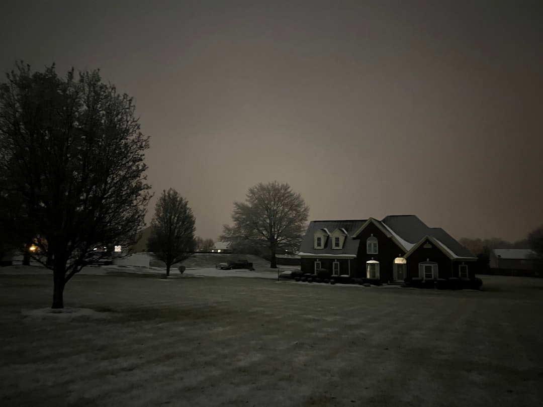 Texas Freezes, People Die (image credits: unsplash)