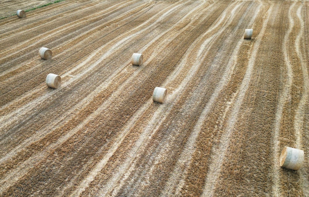 Soil Conservation Service Saves the Land (image credits: unsplash)