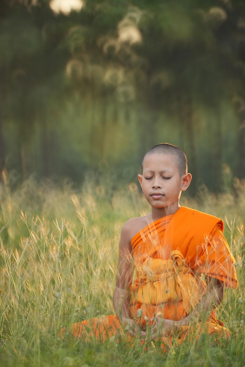 Practical Steps for Harnessing Your Intuitive Power (image credits: pixabay)