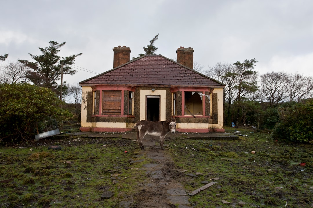 The Economics of Disaster-Proof Living (image credits: unsplash)