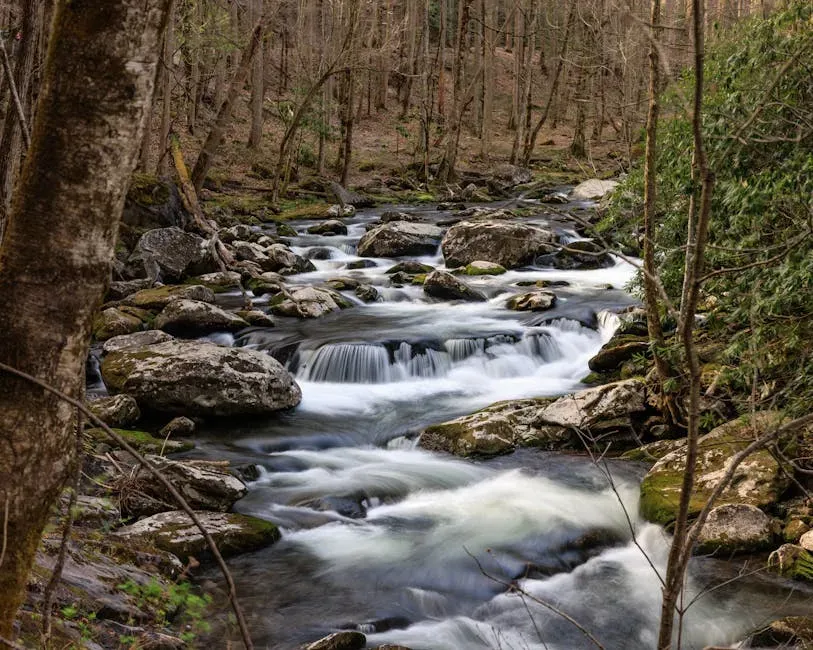Close to Waterfalls in Great Smoky Mountains National Park (Image Credits: Pexels)