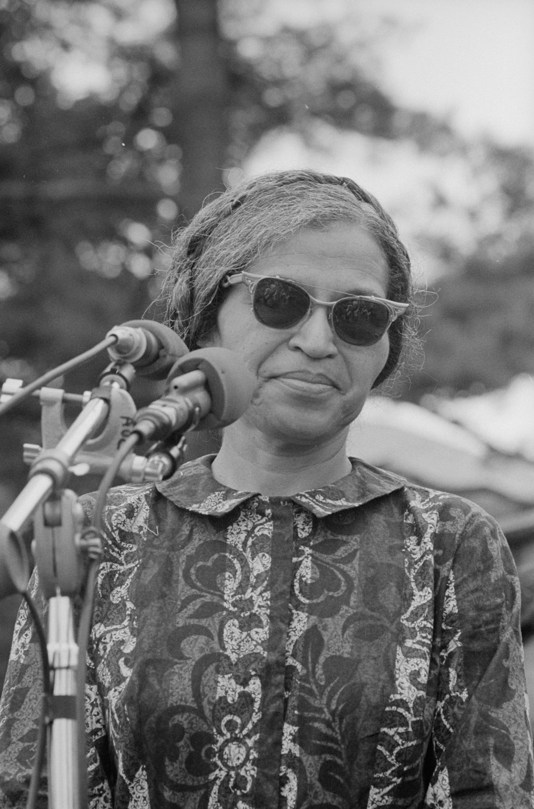Rosa Parks: The Spark That Ignited a Movement (image credits: unsplash)