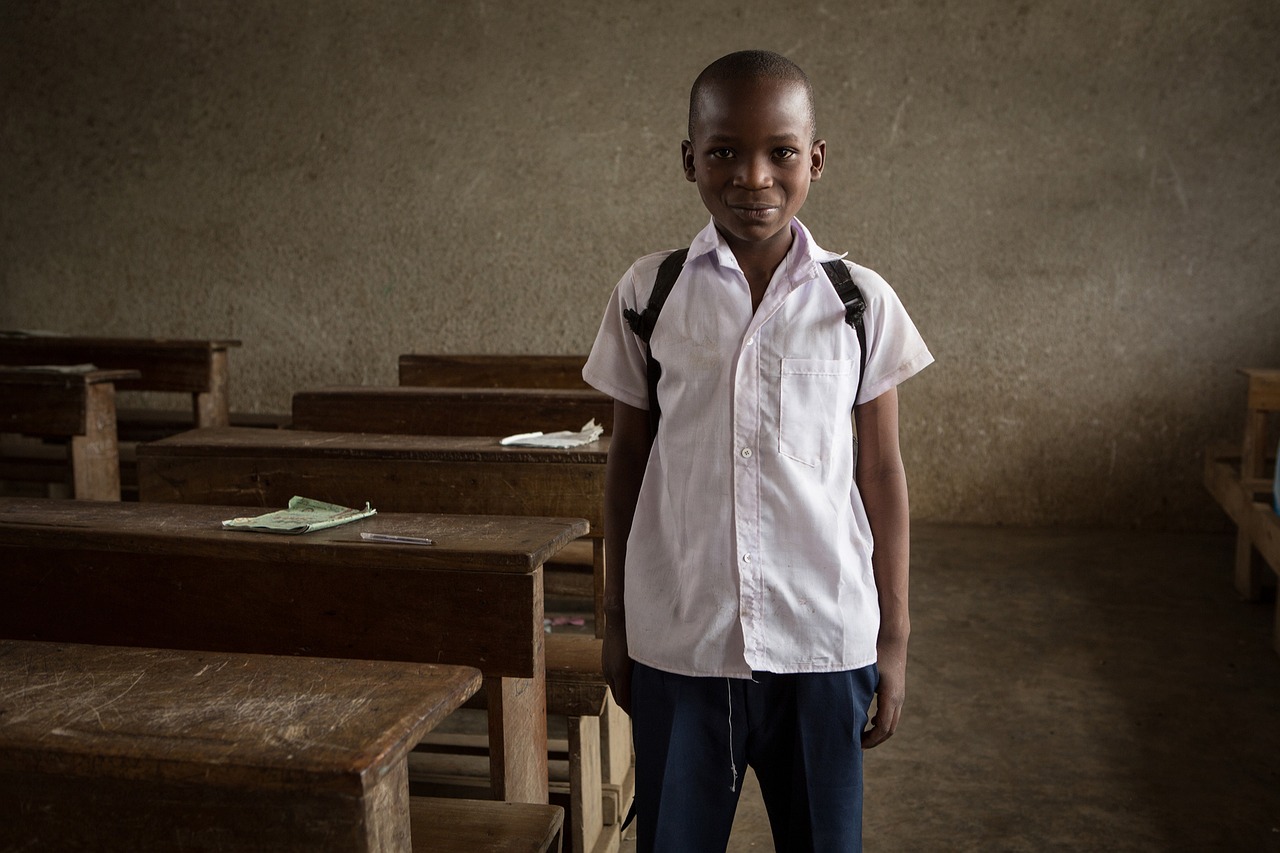 Social Reform Movements Promoted Educational Access (image credits: pixabay)
