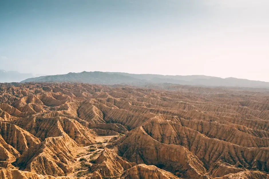 Anza-Borrego Desert State Park, California (Image Credits: Pexels)