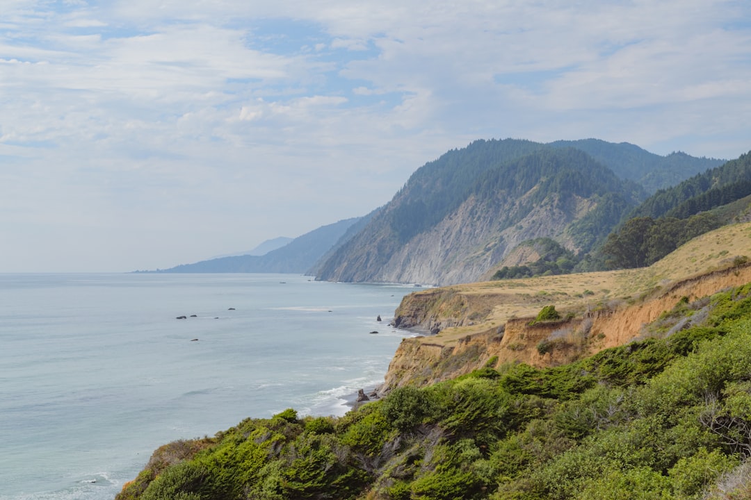Sinkyone Wilderness State Park, California (image credits: unsplash)
