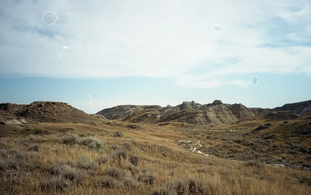 Federal Land, Federal Rules: What Homeowners Must Know (Image Credits: Flickr)