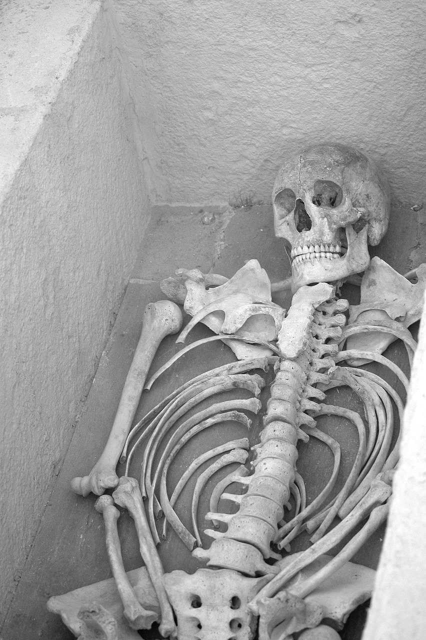 The Discovery That Shook Archaeology (image credits: pixabay)