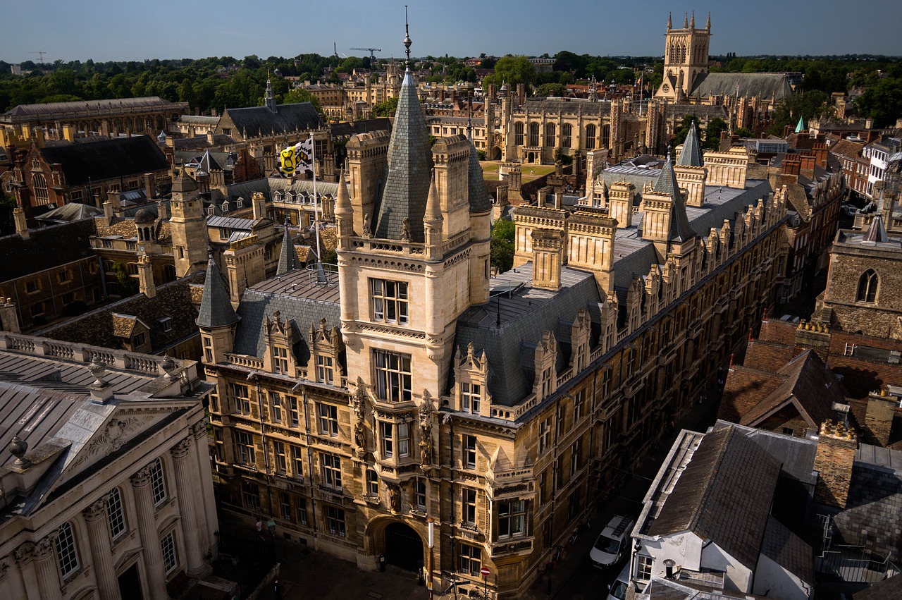 The University Connection That Changes Everything (image credits: pixabay)