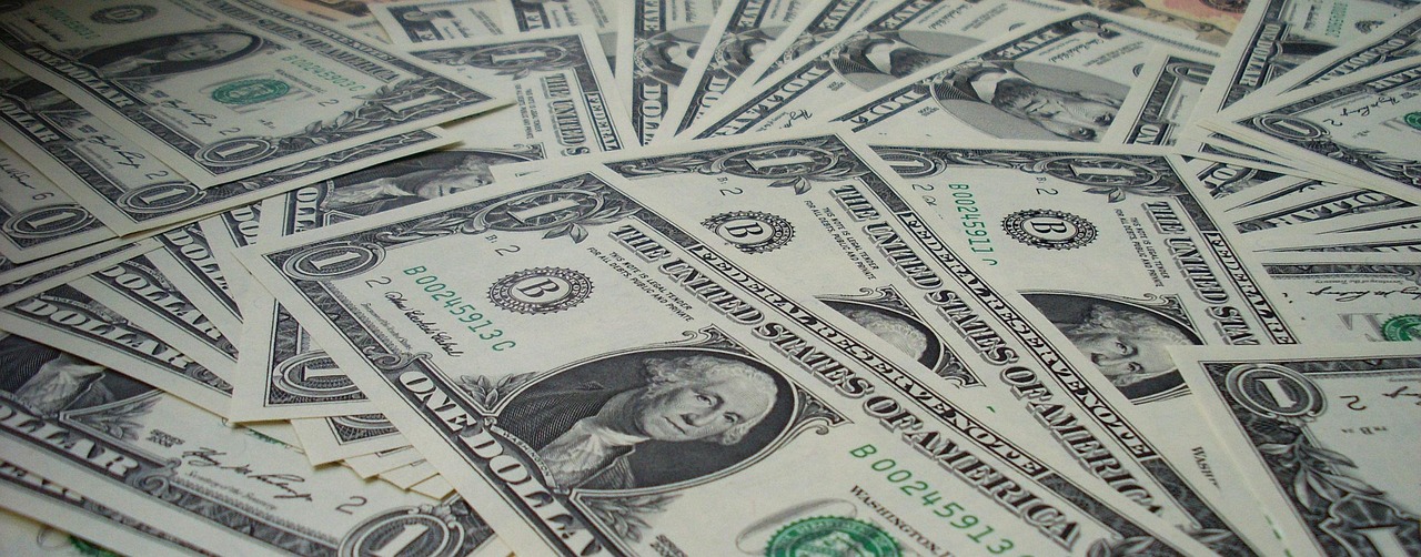 Dollar Diplomacy: Economic Domination (image credits: pixabay)